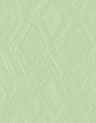 The primary subject of the image is a green and white patterned wallpaper. The setting is a room with a green wall, and the visual style is a patterned wallpaper. The dominant colors are green and white, creating a calm and soothing atmosphere.