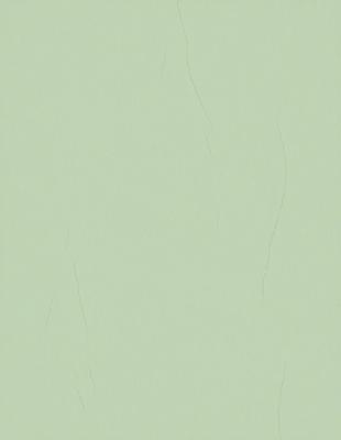 The primary subject of the image is a green wall. The setting is a room with a green wall, and the visual style is a photo. The dominant colors are green, and the overall atmosphere is calm and serene.