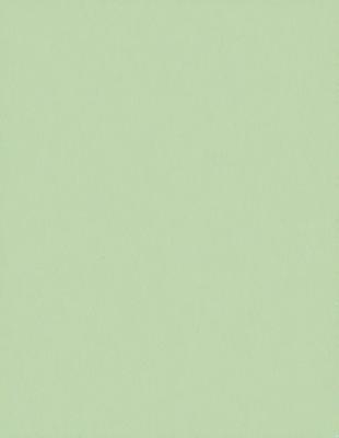 The primary subject of the image is a large, white wall. The setting is a room with a green background. The visual style is a photo, and the colors and mood are predominantly green, creating a calm and serene atmosphere.