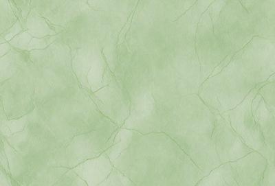 The primary subject of the image is a green marble wallpaper with a mottled texture. The setting is a green wall, and the visual style is a close-up of the wallpaper. The colors and mood of the image are predominantly green, giving it a natural and serene atmosphere.