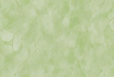 The primary subject of the image is a green wall with a patterned texture. The setting is a room with a green wall, and the visual style is a close-up of the wall. The colors and mood of the image are predominantly green, creating a calm and soothing atmosphere.