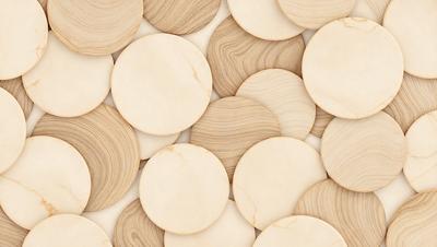 The primary subject of the image is a collection of wooden circles, which are arranged in a visually appealing manner. The setting is a white background, which provides a clean and minimalist look. The visual style is a combination of photo and digital art, creating a unique and artistic representation of the wooden circles. The colors and mood of the image are predominantly neutral, with the wooden circles being the main focus and the white background providing a sense of calm and simplicity.