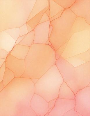 The primary subject of the image is a close-up of a pink and orange patterned surface. The setting is a room with a wall that features a patterned design. The visual style is a combination of digital art and illustration, creating a unique and artistic appearance. The dominant colors in the image are pink and orange, giving the scene a warm and vibrant atmosphere.