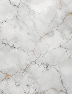 The primary subject of the image is a marble surface with a white and gold color scheme. The setting is a marble countertop, and the visual style is a close-up of the marble surface. The colors and mood of the image are elegant and sophisticated, with the white marble providing a clean and refined appearance, while the gold accents add a touch of warmth and luxury.