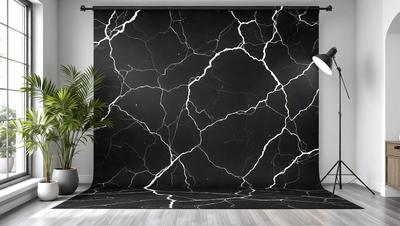 The primary subject of the image is a black and white marble wallpaper with a pattern of black and white swirls. The setting is a room with a black wall and a potted plant in the corner. The visual style is a close-up of the wallpaper, showcasing the intricate pattern. The colors and mood of the image are predominantly black and white, giving it a modern and sophisticated appearance.