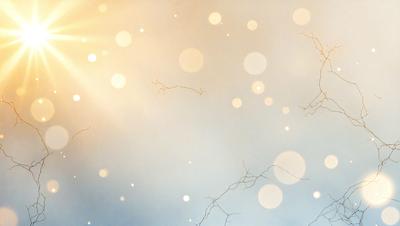 The primary subject of the image is a tree with branches and leaves. The setting is a cloudy sky, and the visual style is a photo. The colors and mood of the image are predominantly gray and somewhat gloomy, with the sunlight peeking through the clouds.