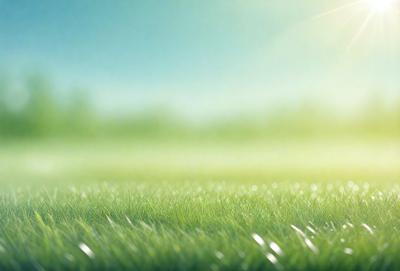 The primary subject of the image is a lush green field with a bright sun shining on it. The setting is an outdoor environment, and the visual style appears to be a photo. The colors in the image are predominantly green, with the sunlight adding a warm and inviting atmosphere.