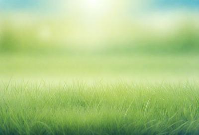 The primary subject of the image is a lush green field with tall grass. The setting is a bright, sunny day, and the visual style is a photo. The colors and mood of the image are vibrant and serene, with the green grass and sunlight creating a peaceful and natural atmosphere.
