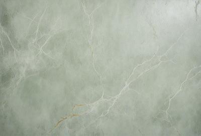 The primary subject of the image is a close-up of a marble wall with a greenish tint. The setting is a room with a greenish-grey wall, and the visual style is a photo. The colors and mood of the image are predominantly green, giving it a calm and serene atmosphere.