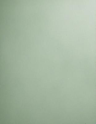 The image features a large, empty wall painted in a light green color. The wall appears to be a canvas for artistic expression, as it is devoid of any decorations or patterns. The overall atmosphere of the scene is calm and serene, with the green wall serving as a neutral backdrop for any potential artwork or decorations that may be added in the future.