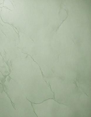The primary subject of the image is a white marble wall with a green tint. The setting is a room with a white marble wall, and the visual style is a photo. The dominant colors are white and green, creating a clean and serene atmosphere.