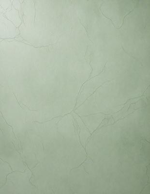 The primary subject of the image is a white marble wall with a greenish tint. The setting is a room with a greenish tinted wall. The visual style is a photo of the wall. The colors and mood of the image are predominantly green, giving it a calm and serene atmosphere.