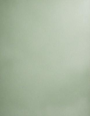 The primary subject of the image is a large, empty white wall. The setting is a room with a green background, which creates a contrast with the white wall. The visual style is a simple, clean, and minimalist design. The colors and mood of the image are predominantly white and green, giving it a calm and serene atmosphere.