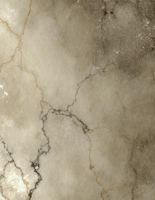 The primary subject of the image is a marble wall with a cracked and textured surface. The setting is a room with a white background. The visual style is a close-up of the marble wall, showcasing its unique texture and appearance. The colors and mood of the image are predominantly white, giving it a clean and elegant appearance.