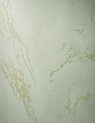 The primary subject of the image is a marble wall with a patterned design. The setting is a room with a white background. The visual style is a photo of the marble wall. The colors and mood of the image are predominantly white, giving it a clean and elegant appearance.