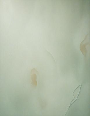 The primary subject of the image is a white sheet of paper with various stains and smudges on it. The setting is a white background, and the visual style appears to be a combination of a photo and a drawing. The colors and mood of the image are predominantly white, with some brown and yellow tones from the stains and smudges.