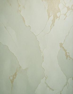 The primary subject of the image is a wall with a marble-like texture. The setting is a room with a green wall, and the visual style appears to be a photo of the wall. The colors and mood of the image are predominantly green, giving it a calm and soothing atmosphere.