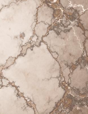 The image features a marble wall with a patterned texture. The wall is made of marble, giving it a luxurious and elegant appearance. The marble wall is the primary subject of the image, and it is set against a backdrop of a stone wall. The visual style of the image is a close-up of the marble wall, showcasing its intricate pattern and texture. The colors and mood of the image are predominantly neutral, with the marble and stone providing a sense of sophistic