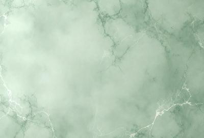 The image features a large, white marble wall with a green tint. The wall appears to be a part of a building, possibly a bathroom or a kitchen. The marble wall is the primary subject of the image, and it is the backdrop for the scene. The visual style of the image is a close-up of the marble wall, showcasing its texture and details. The colors and mood of the image are predominantly green, with a hint of white, creating a serene and calming atmosphere