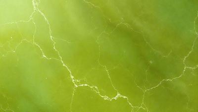 The primary subject of the image is a close-up of a green, textured surface, possibly a wall or a piece of art. The setting appears to be indoors, with the surface being the main focus of the image. The visual style is a close-up, which emphasizes the intricate details of the green surface. The colors in the image are predominantly green, creating a calm and soothing atmosphere.