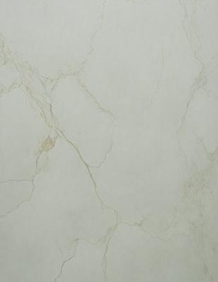 The image features a white marble wall with a pattern of holes and grooves. The wall appears to be made of marble, giving it a luxurious and elegant appearance. The holes and grooves add texture and depth to the surface, making it visually interesting. The overall atmosphere of the image is clean and sophisticated, with the white marble wall serving as a striking focal point.