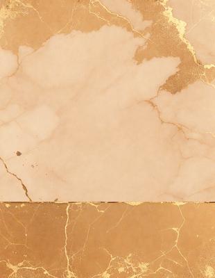 The primary subject of the image is a marble wall with a gold-colored border. The setting is a room with a marble floor, and the visual style is a close-up of the marble wall. The colors and mood of the image are warm and elegant, with the gold border adding a touch of luxury to the marble wall.