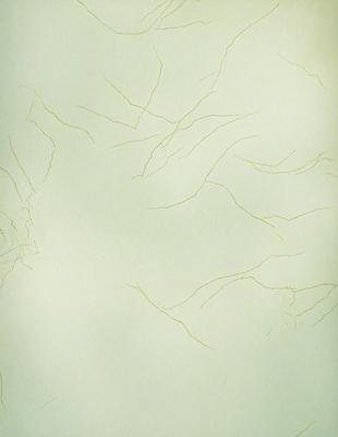 The primary subject of the image is a white wall with a pattern of yellow lines or streaks. The setting is a room with a green background. The visual style appears to be a combination of a photo and a drawing, with the yellow lines giving it a unique and artistic appearance. The colors and mood of the image are predominantly green and yellow, creating a warm and inviting atmosphere.