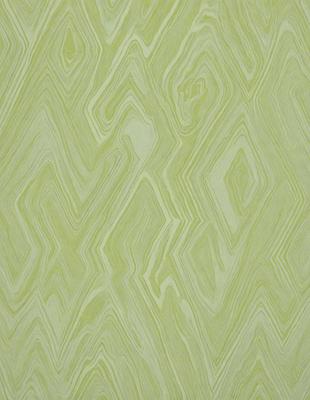The primary subject of the image is a green wall with a patterned texture. The setting is indoors, likely in a room or a space with a green color scheme. The visual style appears to be a combination of a photo and a digital art or illustration, as the green wall has a unique and intricate pattern. The colors and mood of the image are predominantly green, creating a calm and soothing atmosphere.