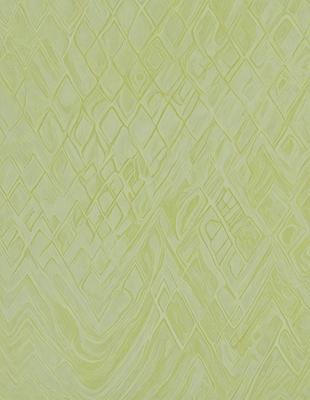 The primary subject of the image is a green wall with a pattern of interlocking diamond shapes. The setting is a room with a green wall, and the visual style appears to be a patterned wallpaper. The dominant colors are green and white, creating a calm and soothing atmosphere.