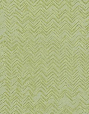 The primary subject of the image is a green and white patterned wallpaper. The setting is a room with a green and white patterned wallpaper. The visual style is a patterned wallpaper, which gives the room a unique and interesting appearance. The dominant colors are green and white, creating a calm and soothing atmosphere in the room.