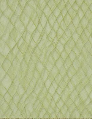 The primary subject of the image is a close-up of a green, wavy fabric. The setting is a wall, and the visual style appears to be a pattern or texture. The dominant colors are green and white, creating a calm and soothing atmosphere.