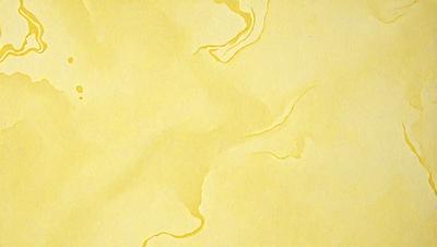The primary subject of the image is a yellow background with a yellowish-green color. The setting is a yellowish-green paper, which is the background of the image. The visual style is a close-up of the paper, showcasing the yellowish-green color. The colors and mood of the image are warm and inviting, with the yellowish-green color creating a sense of freshness and vibrancy.