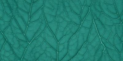 The primary subject of the image is a close-up of a green leaf with a pattern of veins. The setting is a green background, which adds to the natural and organic feel of the scene. The visual style is a close-up of a leaf, showcasing its intricate details. The colors and mood of the image are predominantly green, which is associated with nature and tranquility.