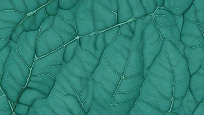 The primary subject of the image is a close-up of a leaf, possibly a plant or a piece of artwork. The leaf is green and has a textured appearance, giving it a natural and organic look. The setting is a green background, which complements the leaf's color and adds to the overall visual style. The image is a close-up, focusing on the intricate details of the leaf, and it appears to be a photo rather than a digital artwork or illustration. The colors and mood of