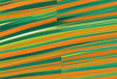 The primary subject of the image is a green and orange striped pattern. The setting is a green and orange background, which creates a vibrant and lively atmosphere. The visual style is a digital art or illustration, as the colors and patterns are well-defined and the image appears to be digitally created. The colors and mood of the image are energetic and dynamic, with the green and orange stripes evoking a sense of movement and liveliness.