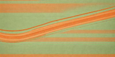 The primary subject of the image is a long, curved orange line. The setting is a green background, which creates a contrast between the orange line and the green surface. The visual style appears to be a digital art or illustration, as the line is depicted in a smooth and continuous manner. The colors and mood of the image are predominantly orange and green, giving it a vibrant and lively atmosphere.