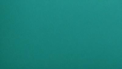 The primary subject of the image is a large, empty, and bright green wall. The setting is a room with a green background, and the visual style is a photo. The colors and mood of the image are predominantly green, creating a calm and serene atmosphere.