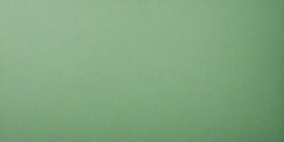 The primary subject of the image is a large, green wall. The setting is a plain, empty room with no other objects or people visible. The visual style is a close-up of the green wall, which gives a sense of depth and texture to the image. The colors and mood are predominantly green, creating a calm and serene atmosphere.