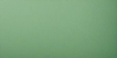 The primary subject of the image is a large, green wall. The setting is a plain, empty room with no other objects or people visible. The visual style is a close-up of the green wall, which gives a sense of depth and texture to the image. The colors and mood are predominantly green, creating a calm and serene atmosphere.