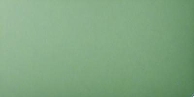 The primary subject of the image is a large, green wall. The setting is a plain, empty room with no other objects or people visible. The visual style is a close-up of the green wall, which gives a sense of depth and texture to the image. The colors and mood of the image are predominantly green, creating a calm and serene atmosphere.