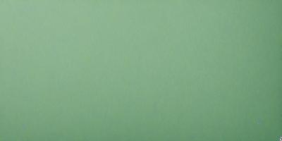 The primary subject of the image is a large, green wall. The setting is a plain, empty room with no other objects or people visible. The visual style is a close-up of the green wall, which gives a sense of depth and texture. The colors and mood of the image are predominantly green, creating a calm and serene atmosphere.
