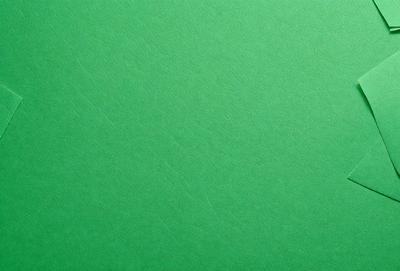 The primary subject of the image is a green background. The setting is a green surface, which could be a wall or a piece of fabric. The visual style is a close-up of the green background, showcasing its texture and color. The colors and mood of the image are predominantly green, creating a calm and soothing atmosphere.