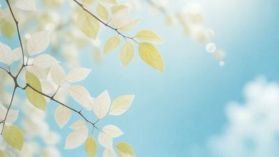 The primary subject of the image is a leafy branch with green and white leaves. The setting is a blue sky, and the visual style appears to be a photo. The colors and mood of the image are predominantly blue and serene, with the green and white leaves adding a touch of natural beauty.