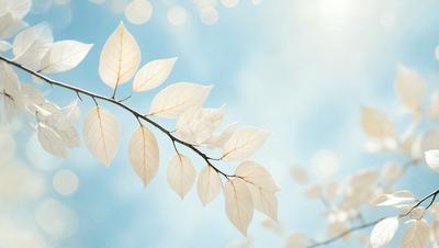 The primary subject of the image is a branch with white leaves, which is the main focus of the image. The setting is a blue sky, providing a clear and bright backdrop for the branch. The visual style is a photo, capturing the natural beauty of the branch and its leaves. The colors and mood of the image are predominantly white, giving it a clean and serene atmosphere.