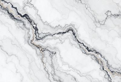 The image features a marble surface with a white and black pattern. The marble has a white background with black veins, giving it a unique and elegant appearance. The pattern on the marble creates a visually striking and sophisticated look.