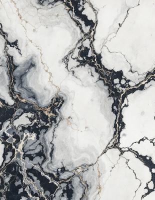The primary subject of the image is a marble-like surface with a black and white color scheme. The setting is a room with a black and white marble wall, which serves as the background. The visual style is a close-up of the marble wall, showcasing its intricate patterns and textures. The colors and mood of the image are predominantly black and white, giving it a classic and elegant appearance.