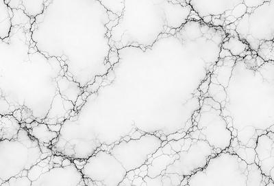 The image features a white marble wall with a pattern of black and white veins. The wall appears to be a part of a building, possibly a bathroom or a kitchen. The black and white veins on the marble wall create a unique and visually appealing design.