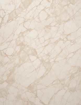 The primary subject of the image is a marble wall with a patterned texture. The setting is a room with a white background. The visual style is a close-up of the marble wall, showcasing its unique texture and design. The colors and mood of the image are predominantly white, giving it a clean and elegant appearance.