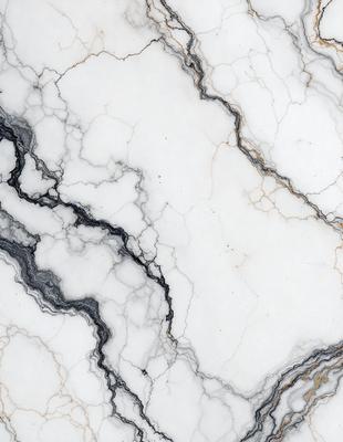 The primary subject of the image is a marble countertop with a white and black pattern. The setting is a kitchen, and the visual style is a close-up of the marble countertop. The colors and mood of the image are predominantly white and black, giving it a clean and elegant appearance.