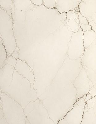 The image features a white marble wall with a rough texture. The wall appears to be cracked and has a slightly dirty appearance. The primary subject of the image is the marble wall, which serves as the main focus of the scene. The setting is indoors, likely in a room or a building with a similar design. The visual style of the image is a close-up of the marble wall, showcasing its unique texture and appearance. The colors in the image are predominantly white, with some variations in sh